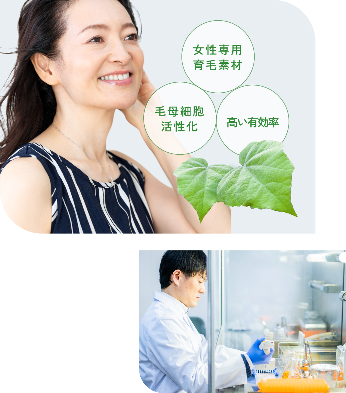 女性専用育毛素材 毛母細胞活性化 高い有効率