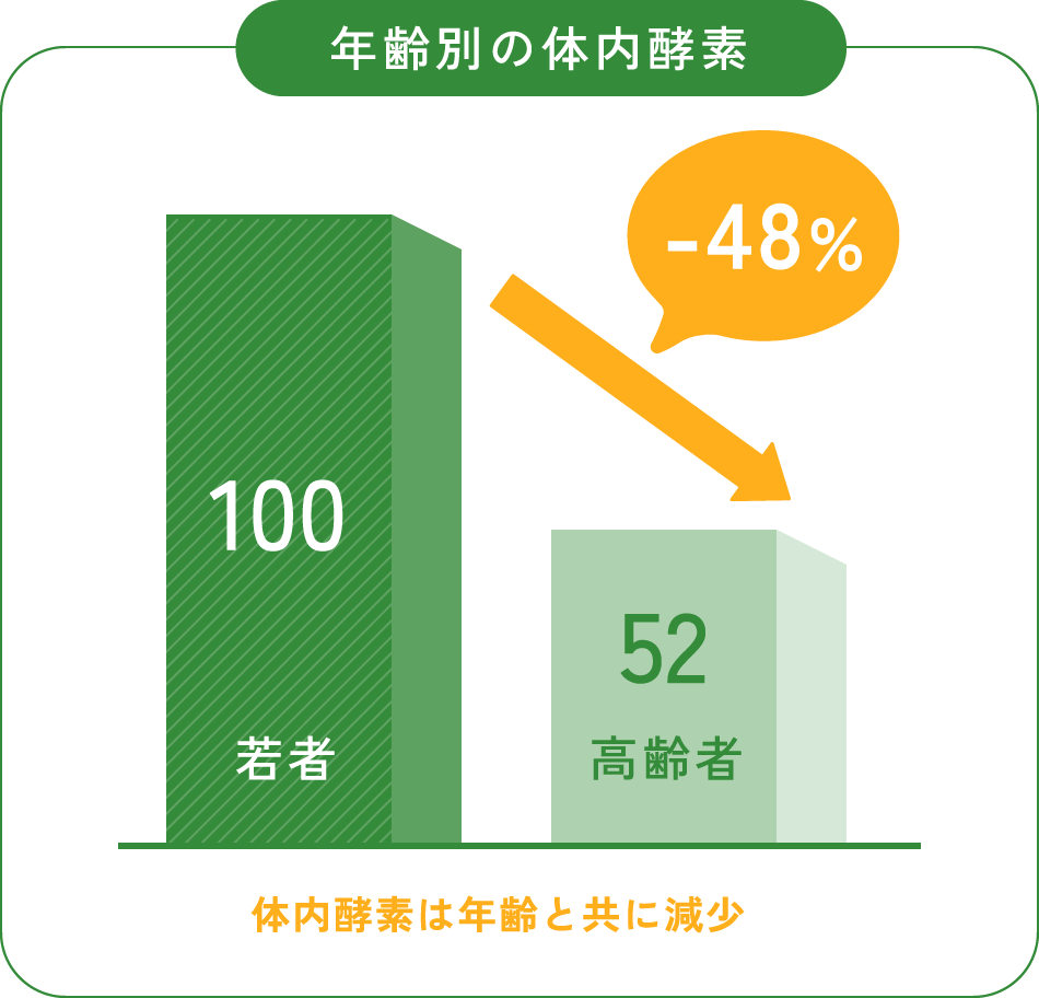 年齢別の体内酵素