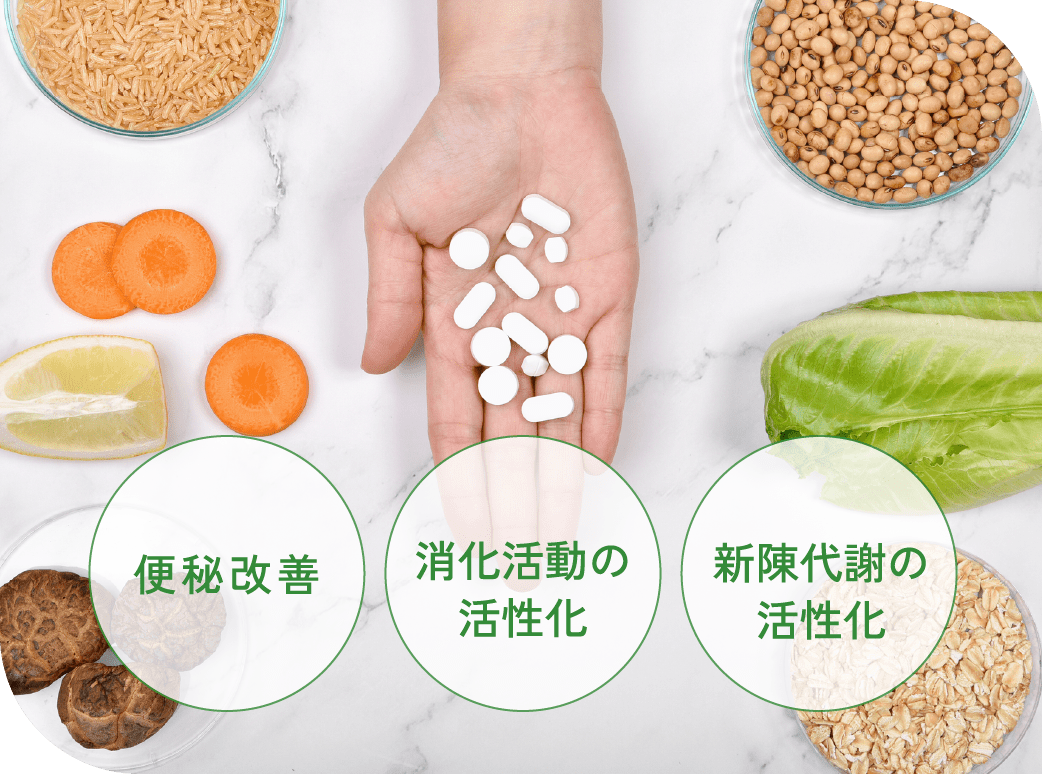 便秘改善　消化活動の活性化　新陳代謝の活性化