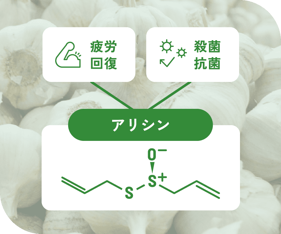 アリシンのイメージ