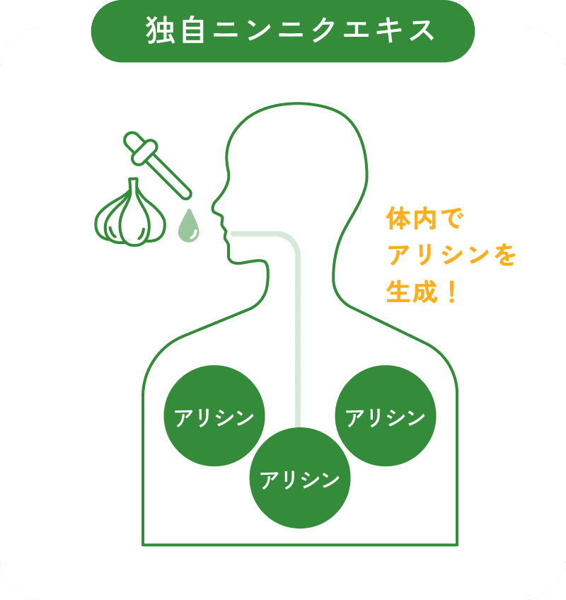 アリシンのイメージ