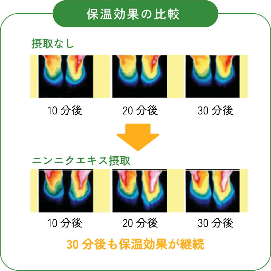 保温効果の比較