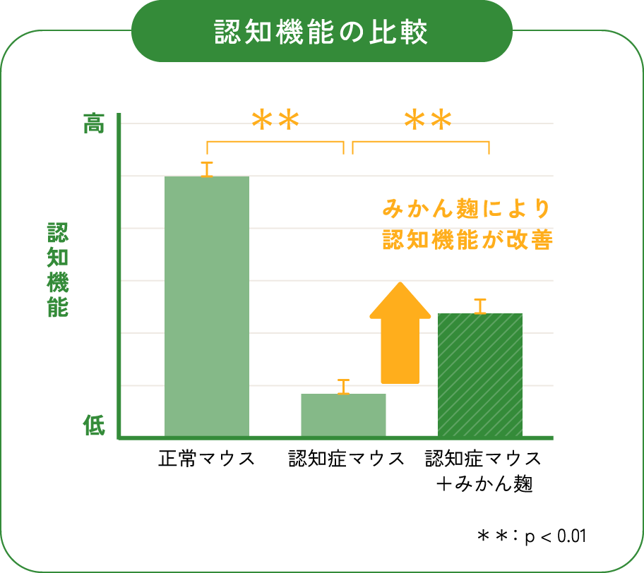 認知機能の比較