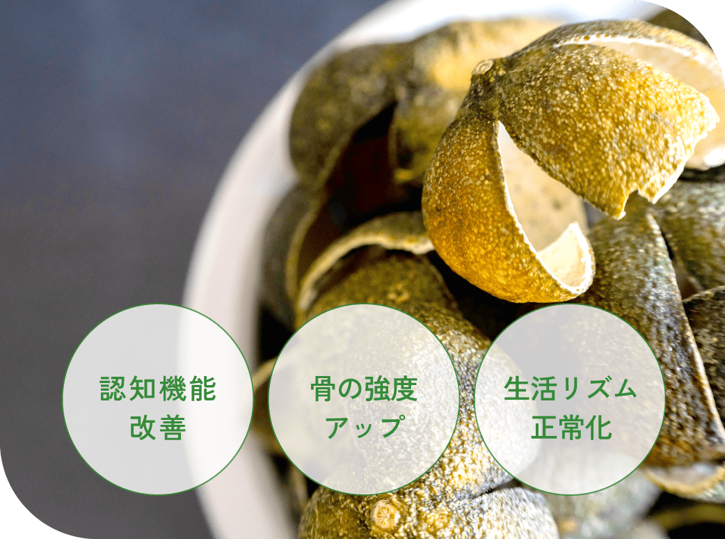 認知機能改善　骨の強度アップ　生活リズム正常化